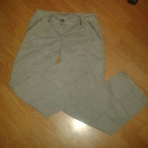 Womans Anne Taylor Loft Pants Casual Chic Size 2P