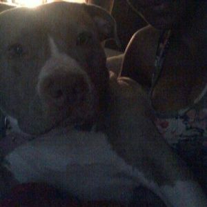 Meet your Posher, Sello