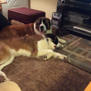 Meet your Posher, Sherry