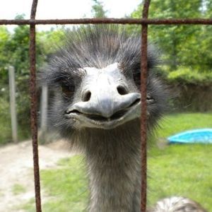 Meet your Posher, Kathie