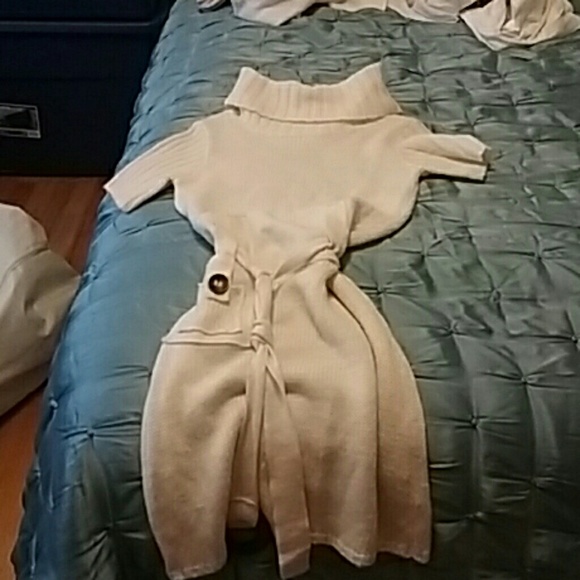 Roberto Klein Sweater Dress