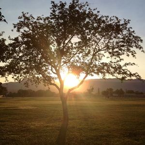 Meet your Posher, Jenny