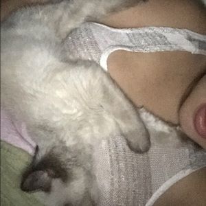 Meet your Posher, Jasmine