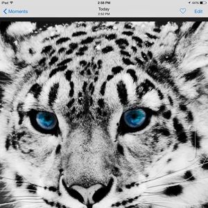 Meet your Posher, Josh