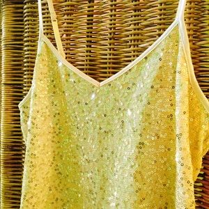 ✨HP: Dress 2 Impress✨Express Gold Camisole