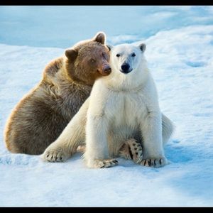 Meet your Posher, Thea