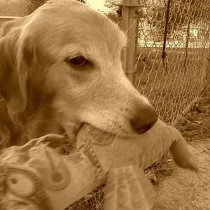 Meet your Posher, Julie