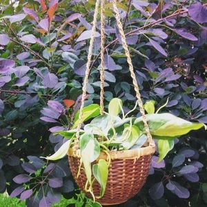 Hanging bamboo and jute basket