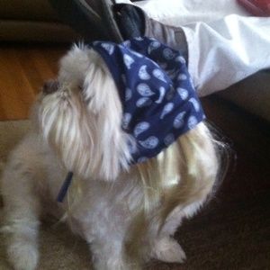 Meet your Posher, Michele