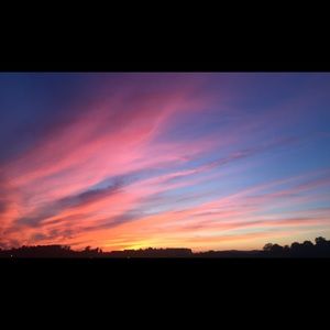 Meet your Posher, Annabelle