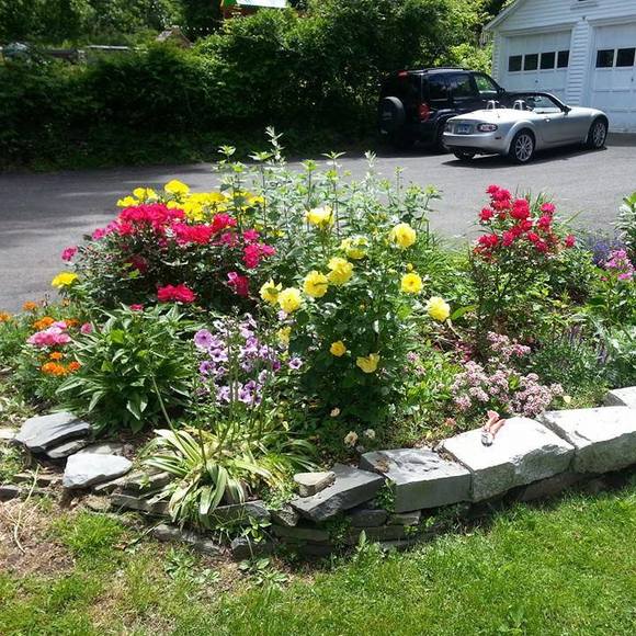 Meet your Posher, Tanya