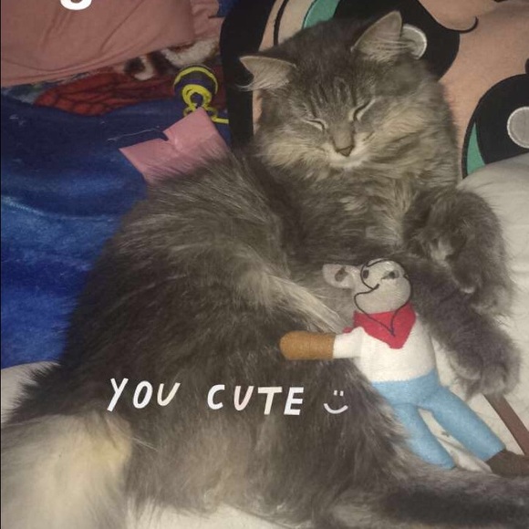 Meet the seller - Picture 4 of 5