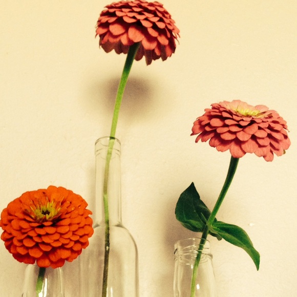 Meet your Posher, Inessa - Picture 1 of 1