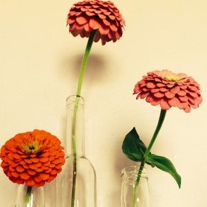 Meet your Posher, Inessa