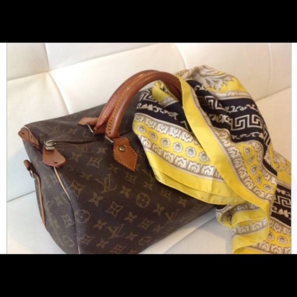 Louis Vuitton speedy 35