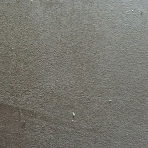 Meet your Posher, Justine