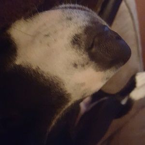 Meet your Posher, Lori