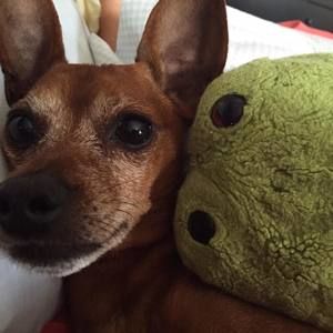 Meet your Posher, Ruth