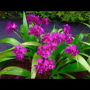 Meet your Posher, Karina