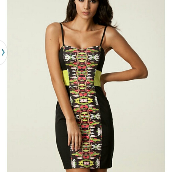 Cabana Cotton Strapless Dress