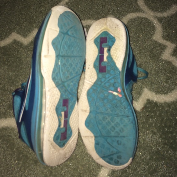Lebron 9 low hornet - Picture 3 of 4