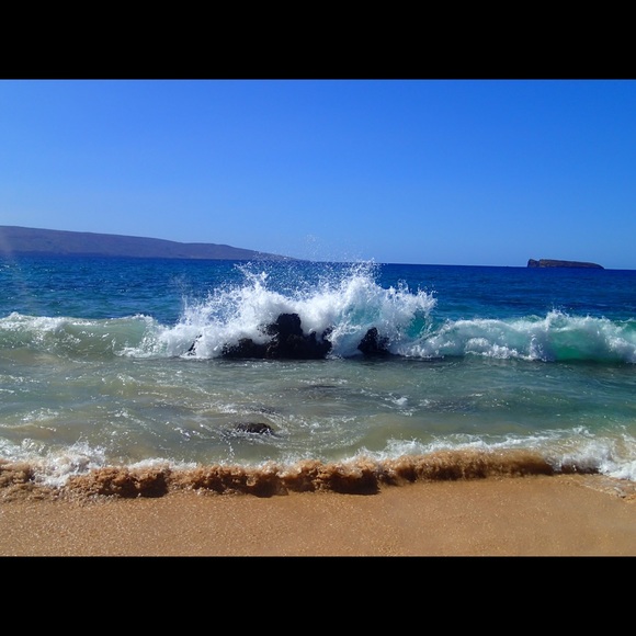 💜Meet your Seller/Buyer💜 - Picture 4 of 4