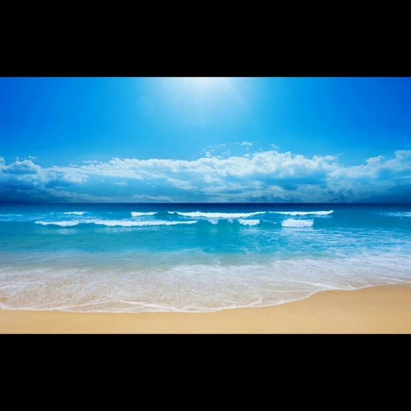 Meet your Posher, Shalonda - Picture 1 of 1