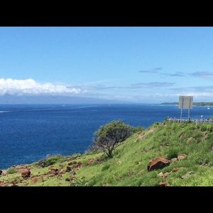 Meet your Posher, Carrie