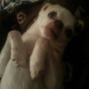 Meet your Posher, Kerri