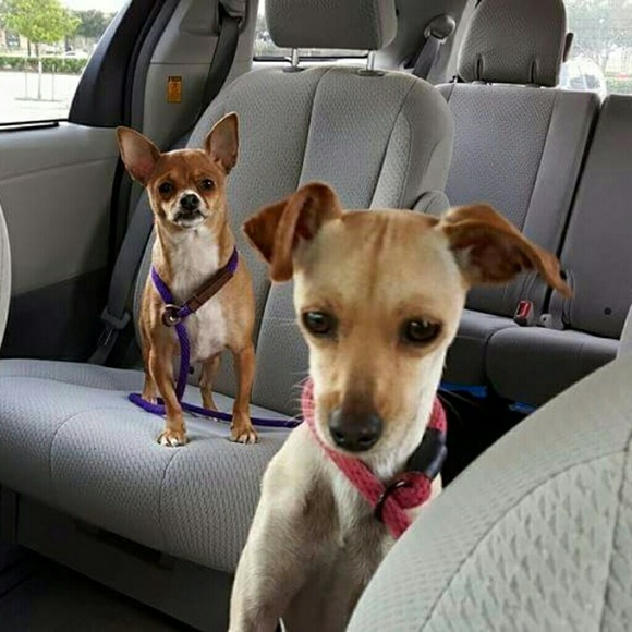 Thanks for Stopping By - Picture 4 of 8