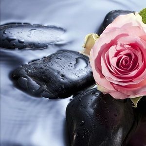 Meet your Posher, Patty