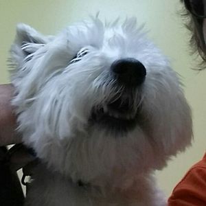 Meet your Posher, Jeanne