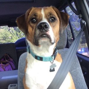 Meet your Posher, Anna