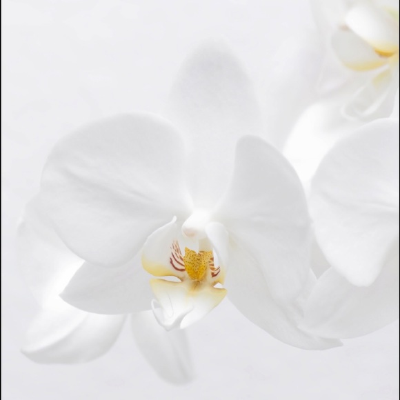 Meet your Posher, Emmalee