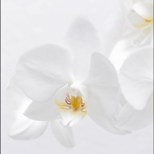 Meet your Posher, Emmalee