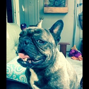 Meet your Posher, Erica