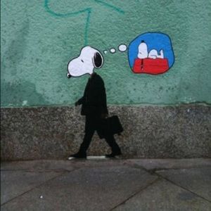 Meet your Posher, Kat