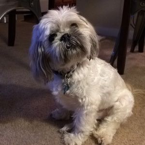 Meet your Posher, Sara