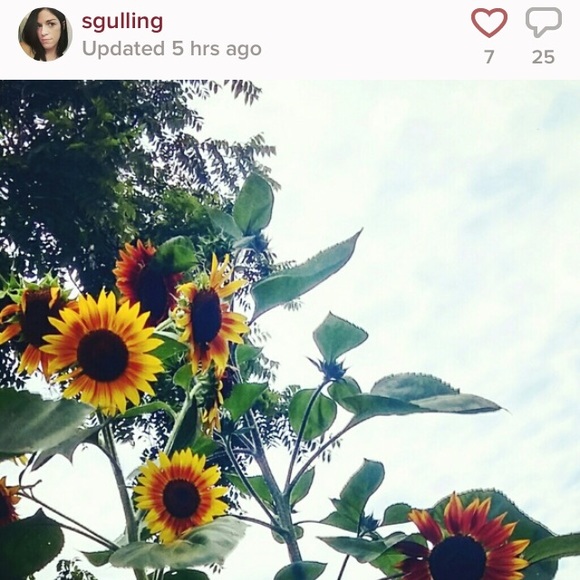 😍 My Closet Crush 😍 - Picture 2 of 4