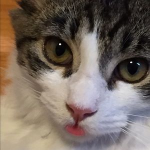 Meet your Posher, Corinna