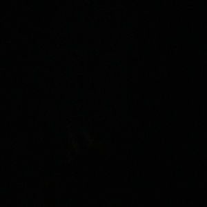 Meet your Posher, Anne