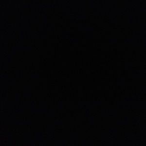 Meet your Posher, Jasper