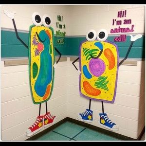 Meet your Posher, Jenny