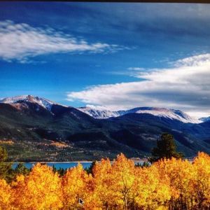 Meet your Posher, Margie