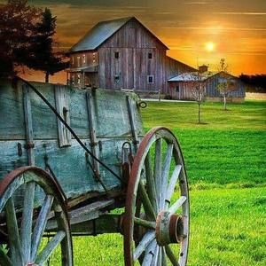 Meet your Posher, Lesa