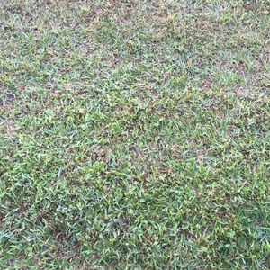 Meet your Posher, Sandee