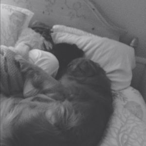 Meet your Posher, Annabelle