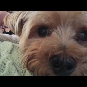 Meet your Posher, Marianne