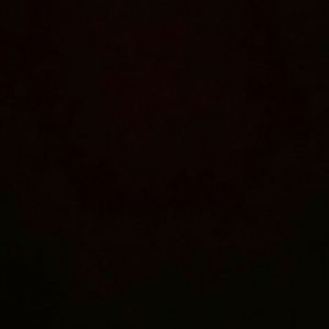 Meet your Posher, Silva