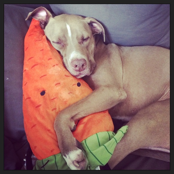 Meet your Posher, Puja